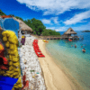 isla lizamar en islas del rosario