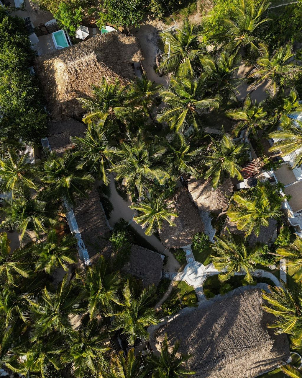 Vista Mare - Imagen 6