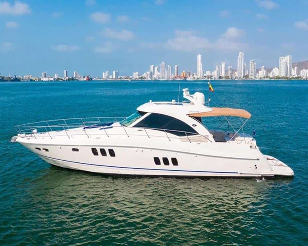 Yate Sea Ray Sundancer 62 - Image 4